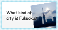 What kind of city is Fukuoka?