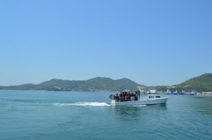 image_6483441